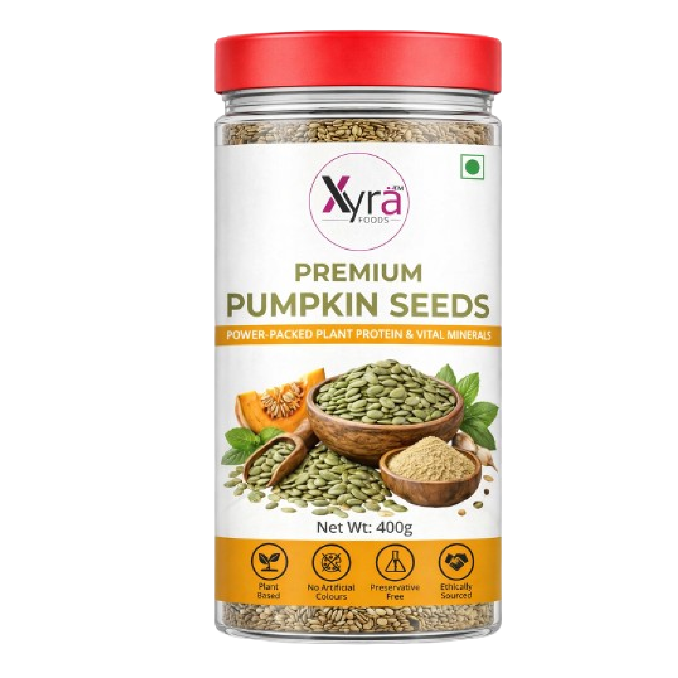 Premium Pumpkin Seeds – Crunchy, Nutritious & Wholesome